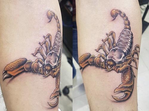 scorpion tattoo design