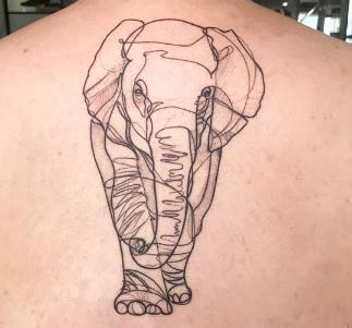 curved lines elephant tattoo design