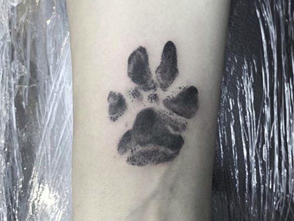 Mini Animal Kingdom by Lorraine Loots from Tattly Temporary Tattoos –  Tattly Temporary Tattoos & Stickers