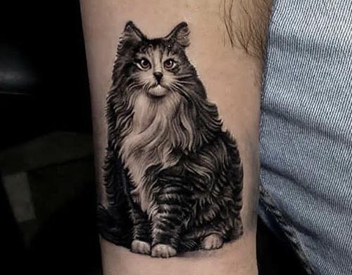 furry fluffy cat tattoo design