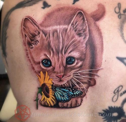 adorable cat with butterfly tattoo