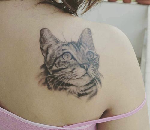 cat back tattoo design