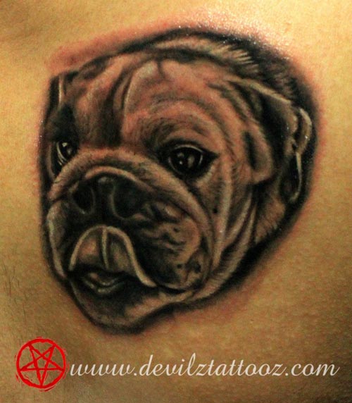 bulldog tattoo design
