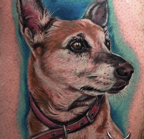 color dog tattoo