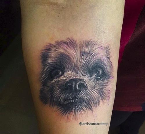 dog close up face tattoo