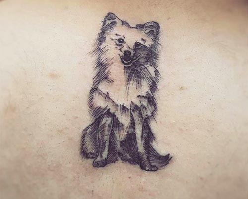 simple pomeranian dog tattoo