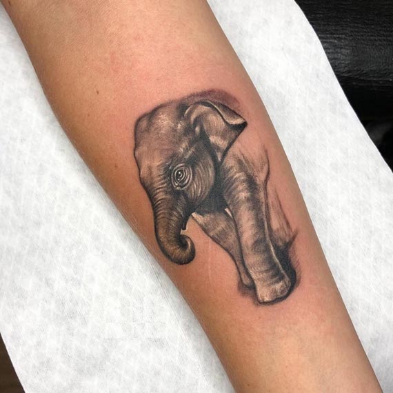 elephant calf baby tattoo design female forearm