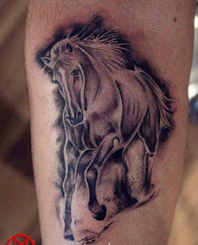horse tattoo design
