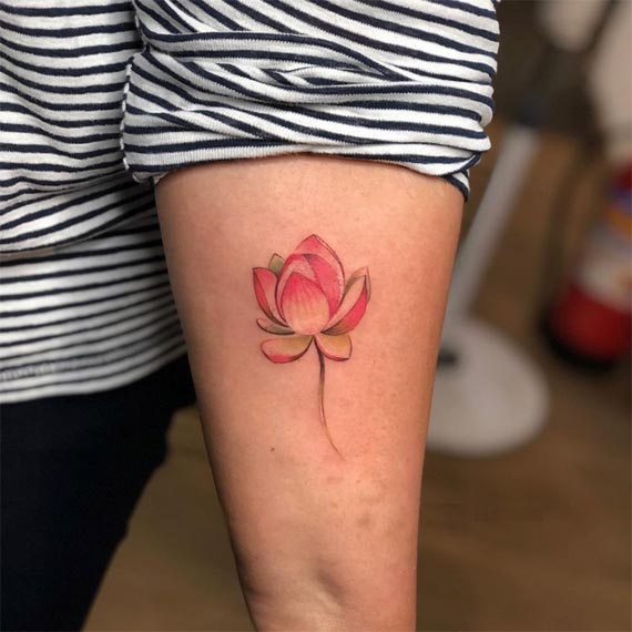 lotus colored pink tattoo design female forearm