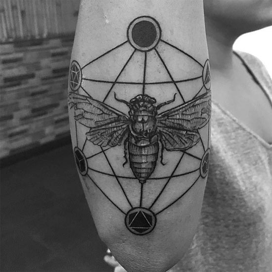 cicada moth above hexagon tattoo geometric black and grey female forearm