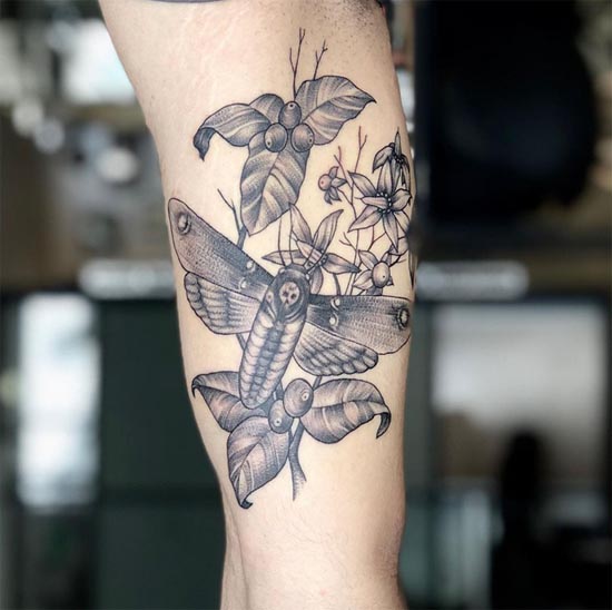 dotwork moth with flowers leaves tattoo design hand forearm
