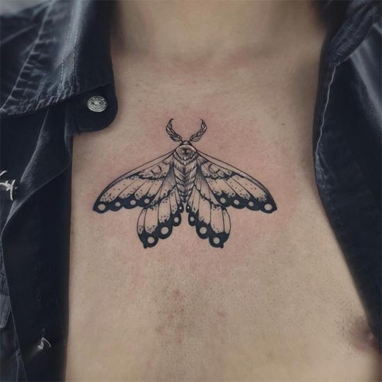 moth tattoo sketch illustration male below neck chest
