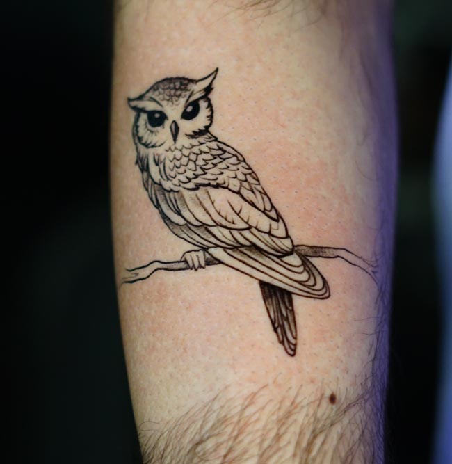 owl sitting on branch tattoo design male forearm