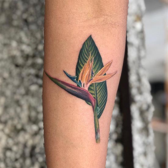 bird of paradise flower tattoo female forearm