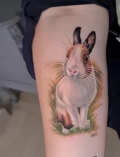 rabbit tattoo design color male forearm