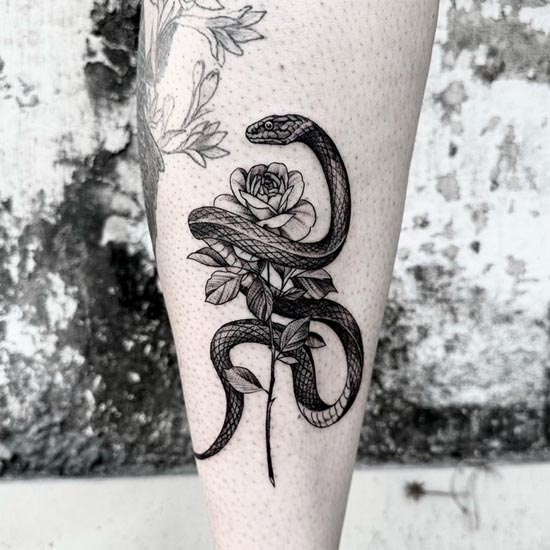 snake rose tattoo idea female leg shin black and grey