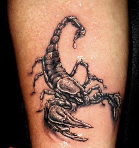 scorpion black and grey realistic tattoo