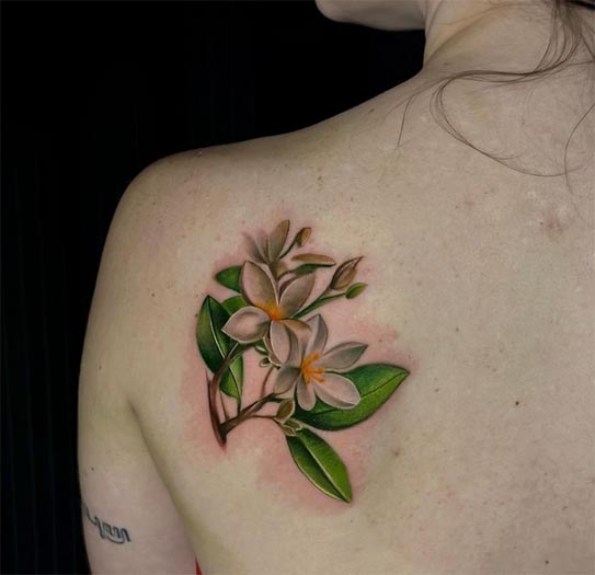 jasmine flower color tattoo realistic feminine shoulder blade