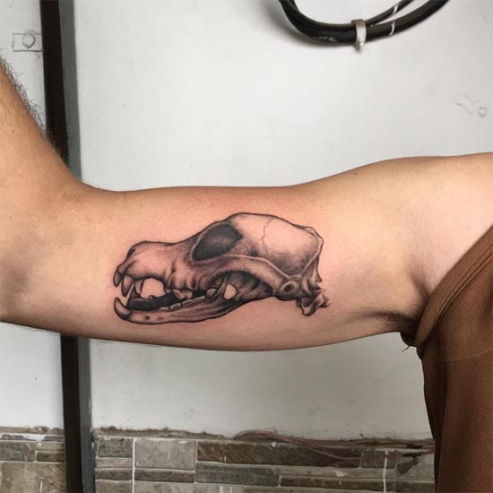 dog skull tattoo design male arm bicep black and grey