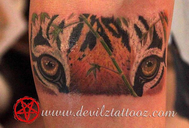 tiger eyes tattoo coloured