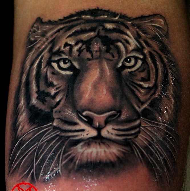 tiger tattoo design