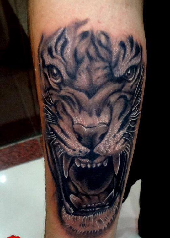 tiger tattoo on forearm