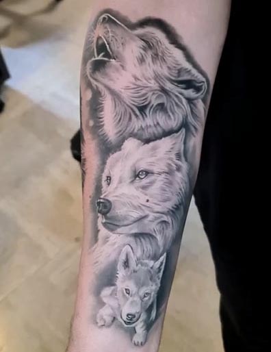 3 wolf head tattoo design idea male forearm