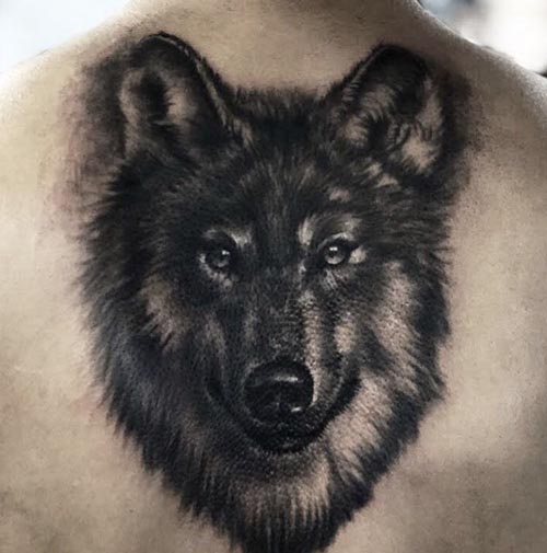 fluffy wolf tattoo design