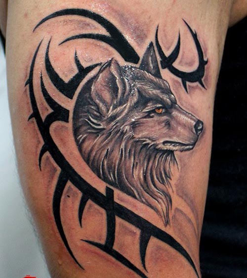 wolf side face tattoo design tribal black and grey male bicep