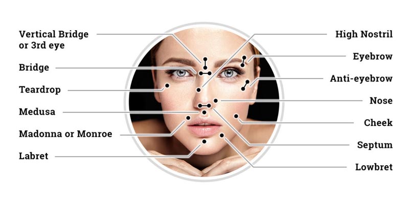 Facial Piercing Types Names diagram