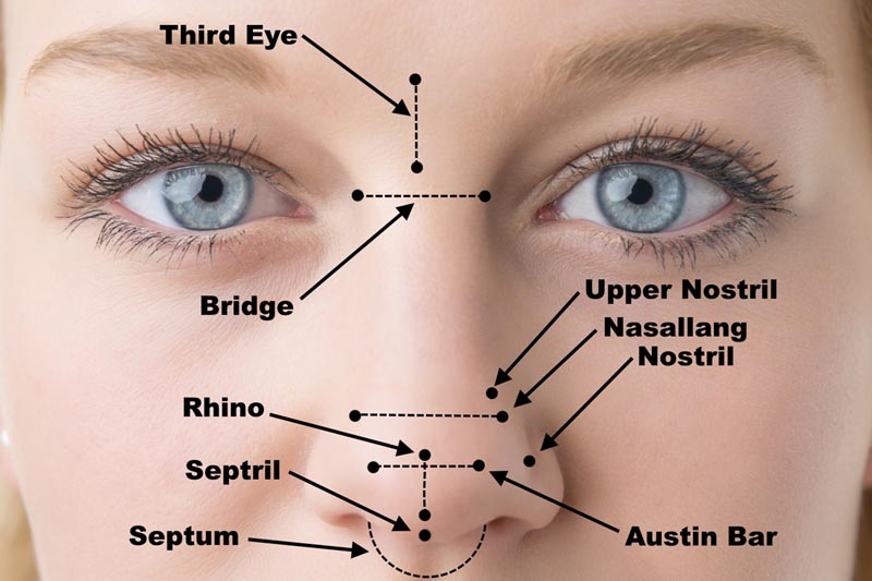 Nose Piercing Types Names diagram